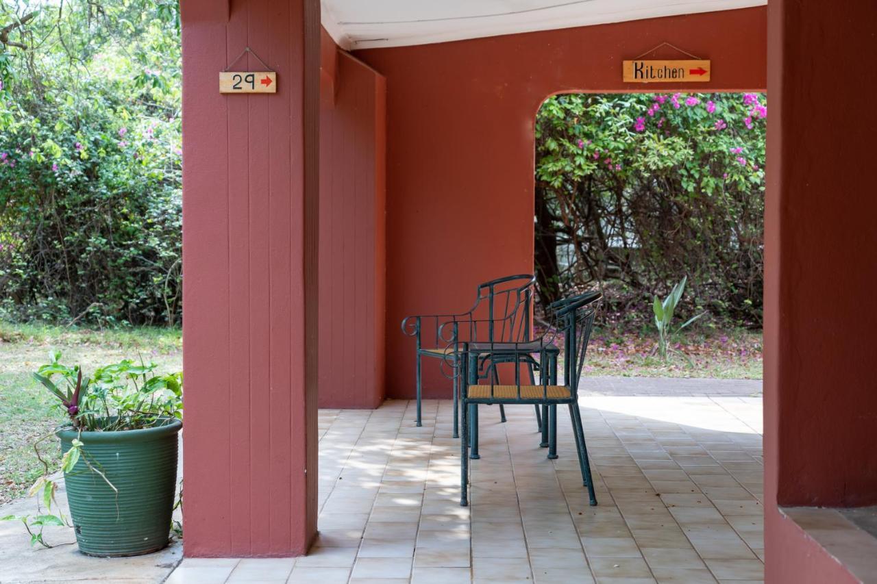 Gooderson Bushlands Game Lodge Hluhluwe Ngoại thất bức ảnh