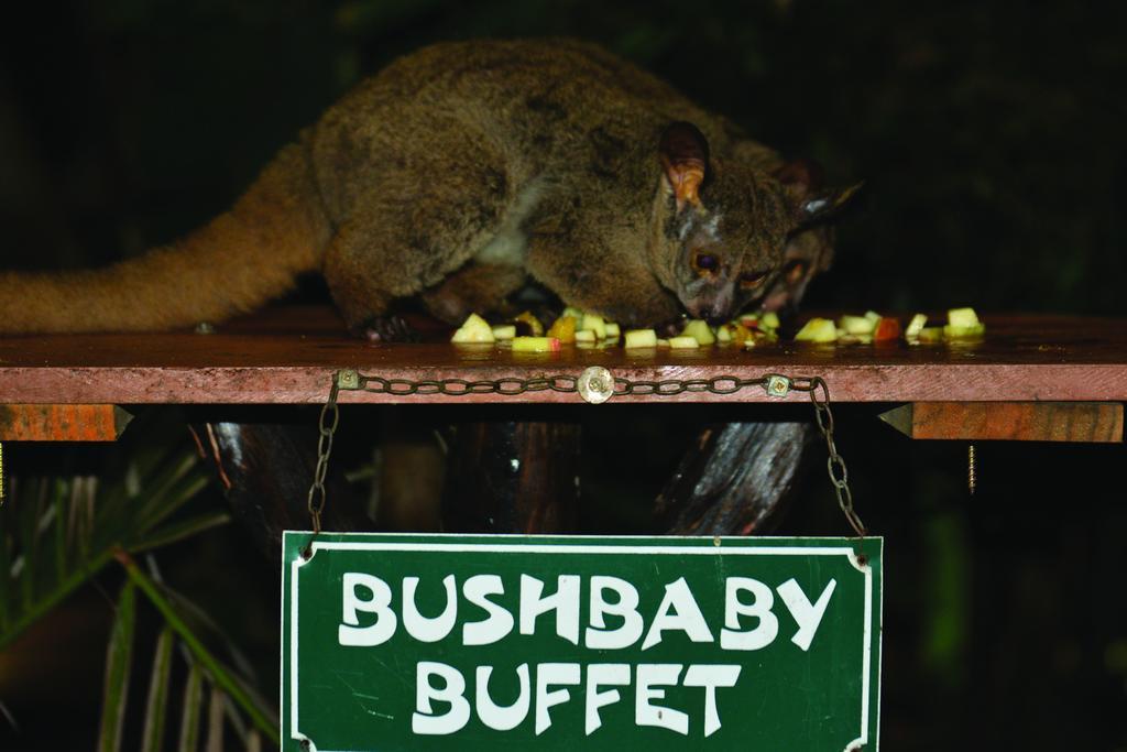 Gooderson Bushlands Game Lodge Hluhluwe Ngoại thất bức ảnh