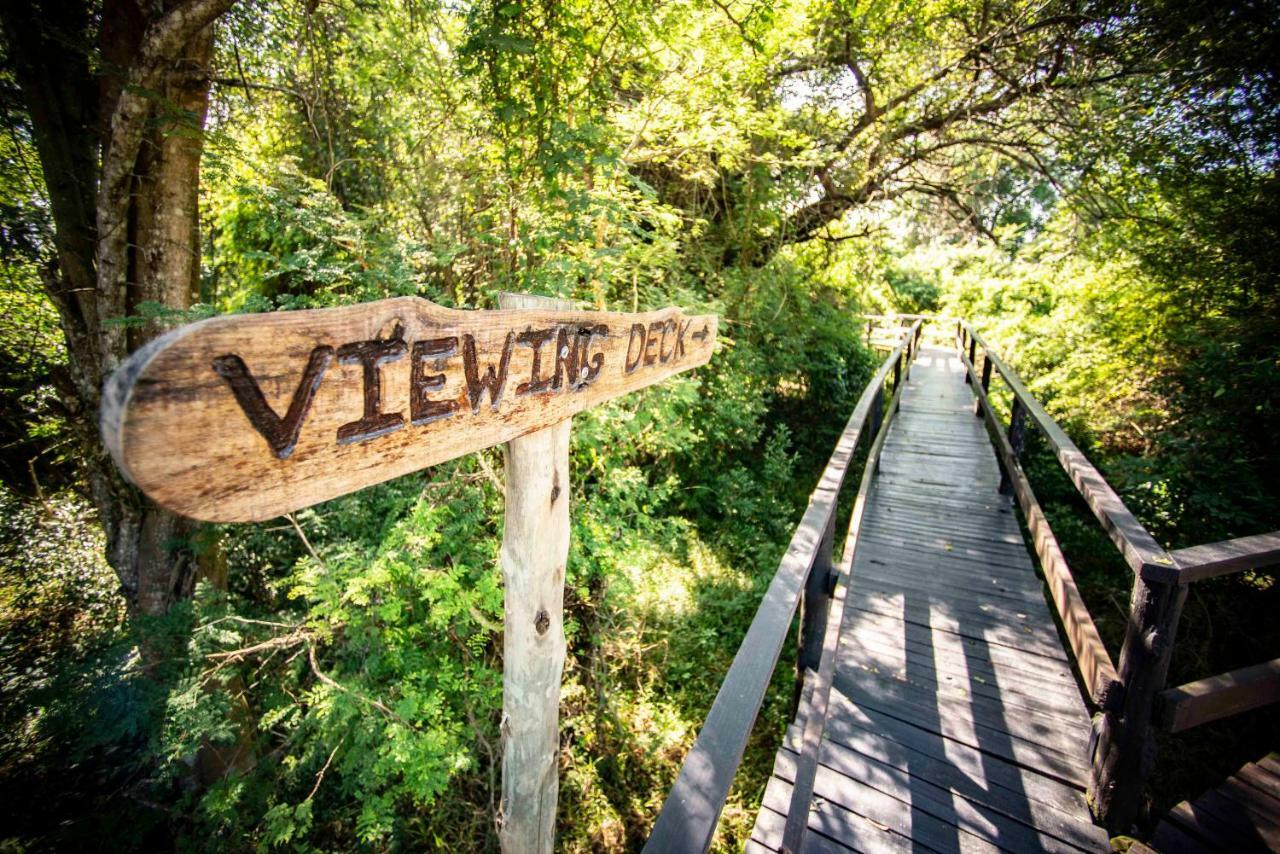 Gooderson Bushlands Game Lodge Hluhluwe Ngoại thất bức ảnh