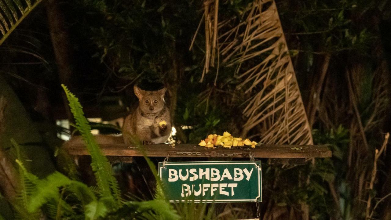 Gooderson Bushlands Game Lodge Hluhluwe Ngoại thất bức ảnh